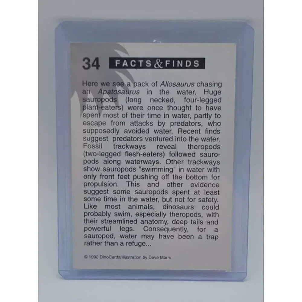 1992 DinoCardz #34 Water Chase Card